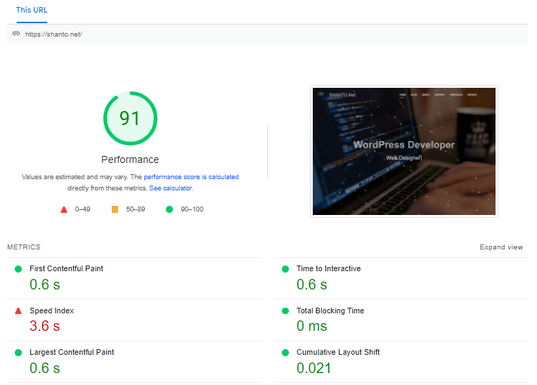 WordPress speed optimization at google pagespeed insight